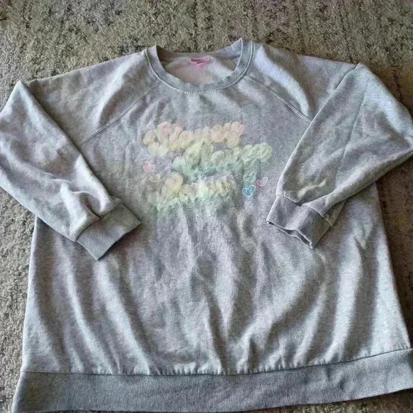 Stoney Clover Lane x Target Womens Gray Limited Edition Sweatshirt 1X - Picture 8 of 12